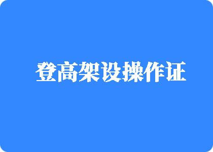 被大鸡巴插到高潮视频mv网站登高架设操作证